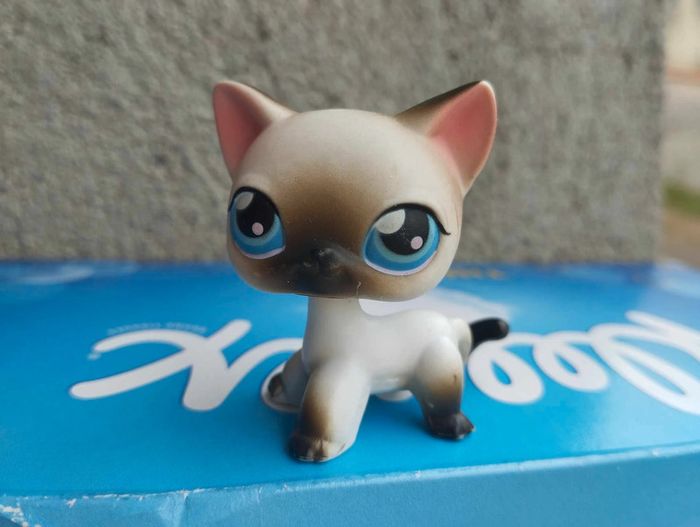 petshop chat euro