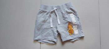 Short Âge de glace 110/116