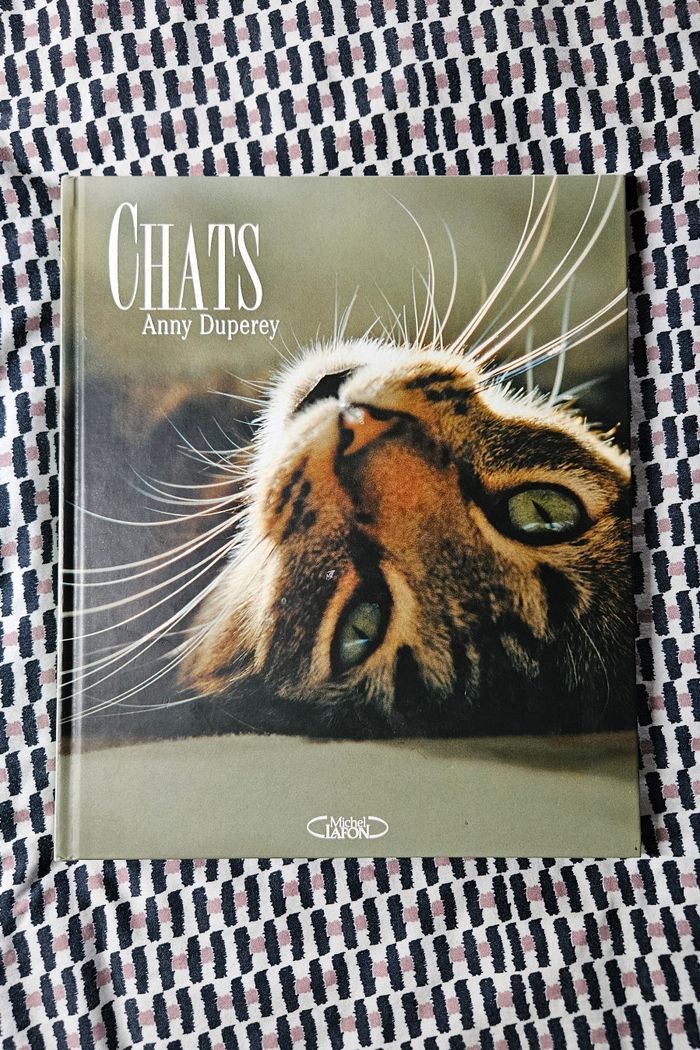 Chats - Anny Duperey - photo numéro 2