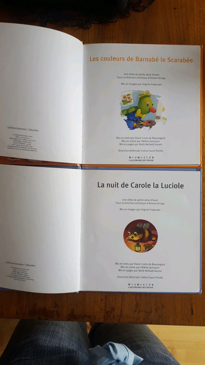 Lit 2 livres - photo numéro 4