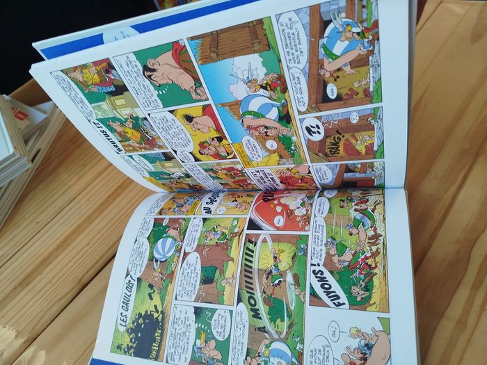 Album double Astérix - photo numéro 5