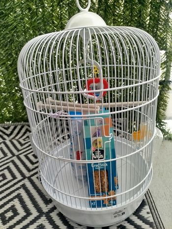 Cage + aliments perruque (3 barres céréales+sachet graine)