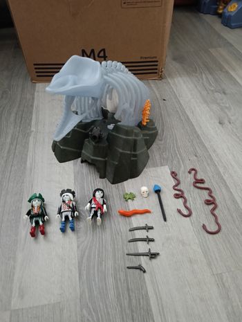 Playmobil Pirate fluorescents