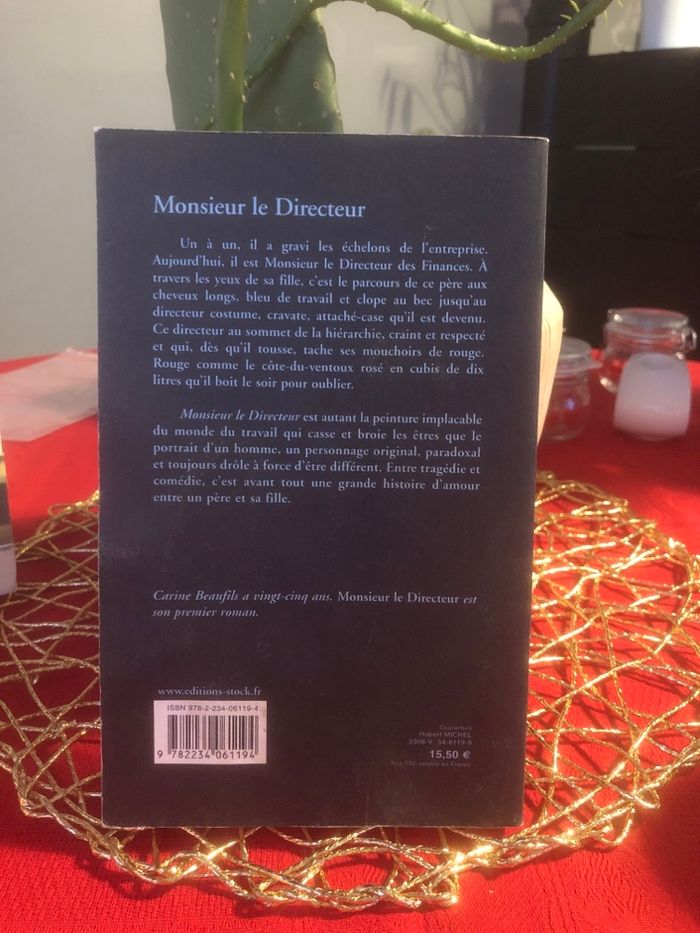 Monsieur le directeur - Carine Beaufils - photo numéro 2