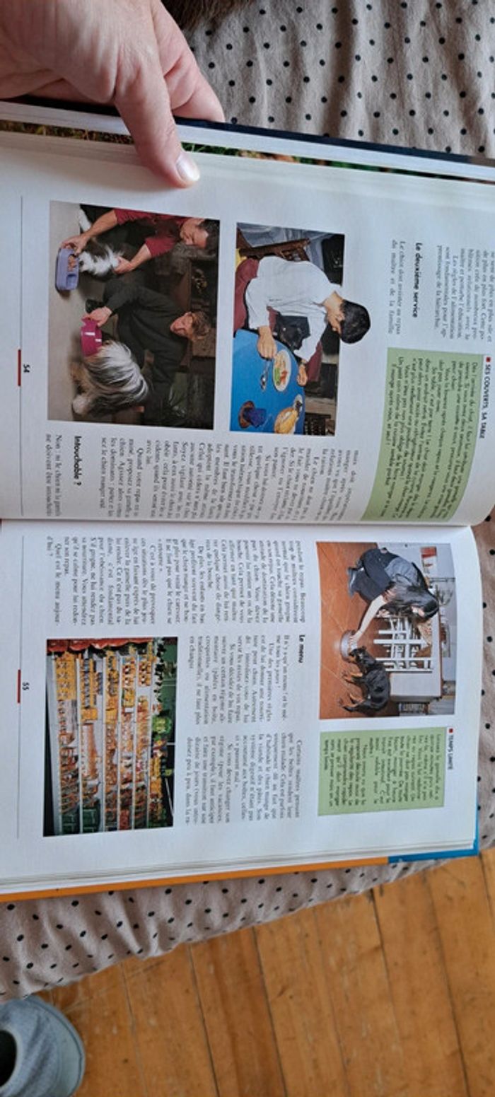 L'éducation du chien - photo numéro 6