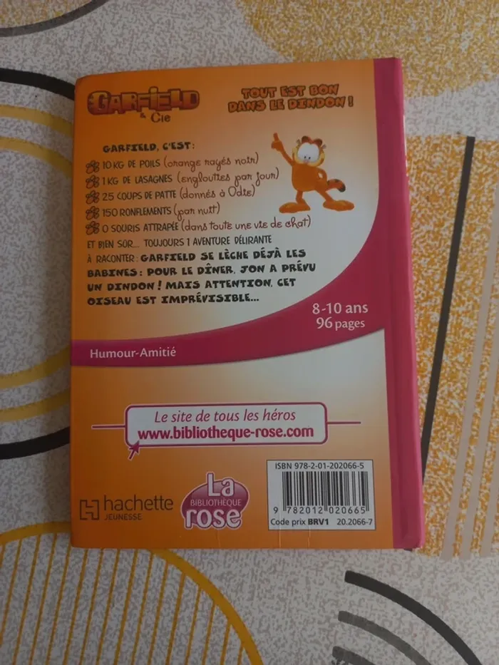Livre bibliothèque rose Garfield et Cie tome 6 - photo numéro 2