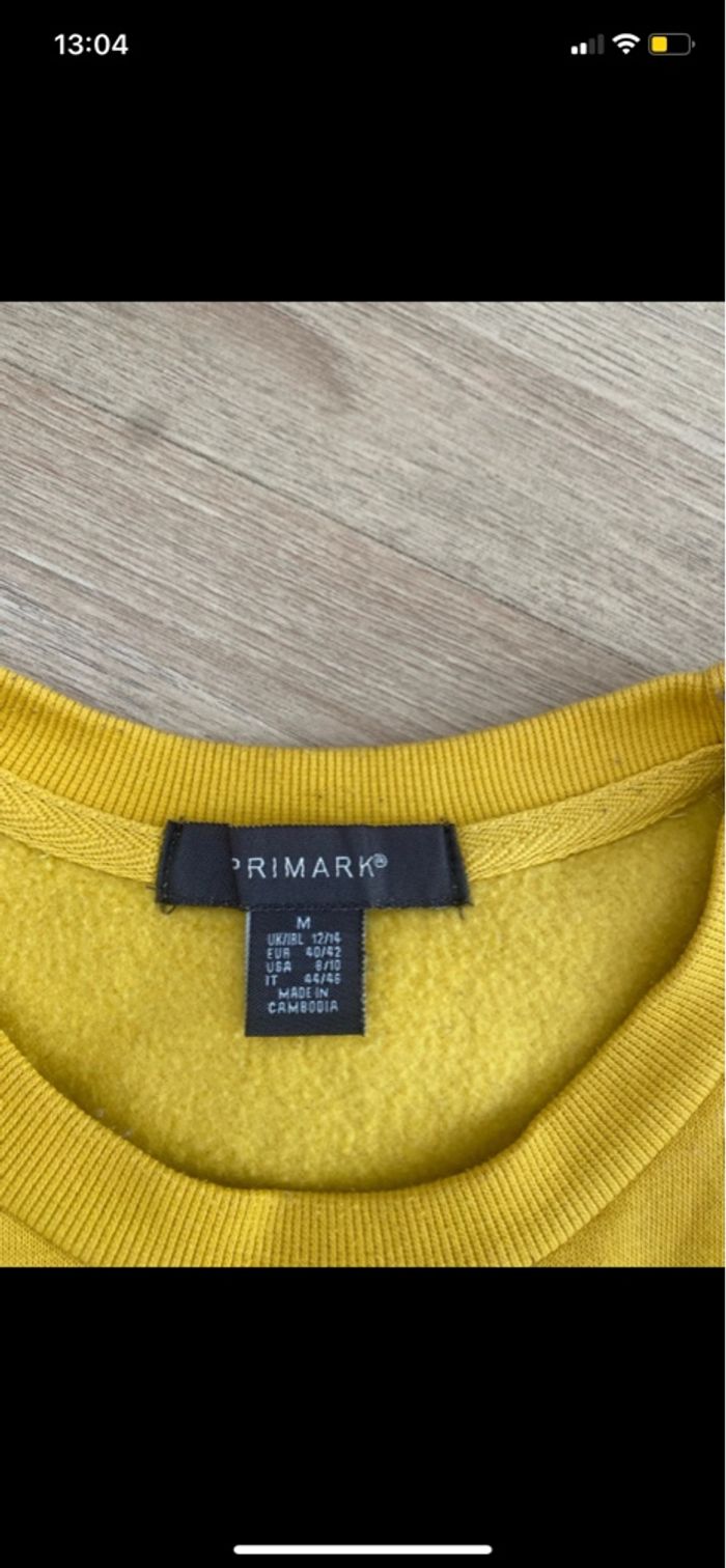 Pull court - photo numéro 2