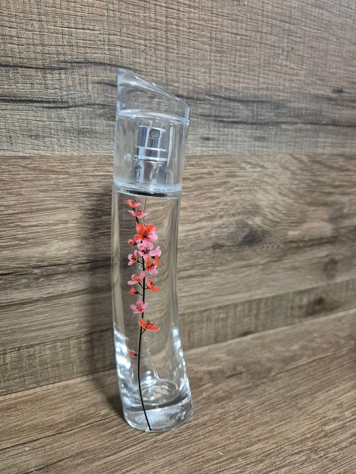 Collection bouteille de parfum vide