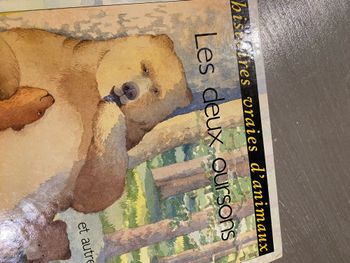 Livre «  les deux oursons »