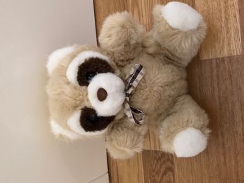 Raton laveur en peluche