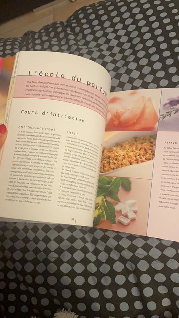 Livre beauté ! - photo numéro 7