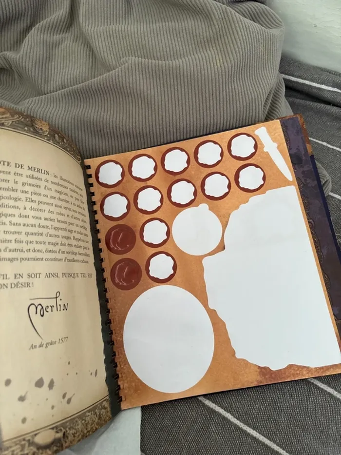 Petit manuel de Magicologie - photo numéro 5