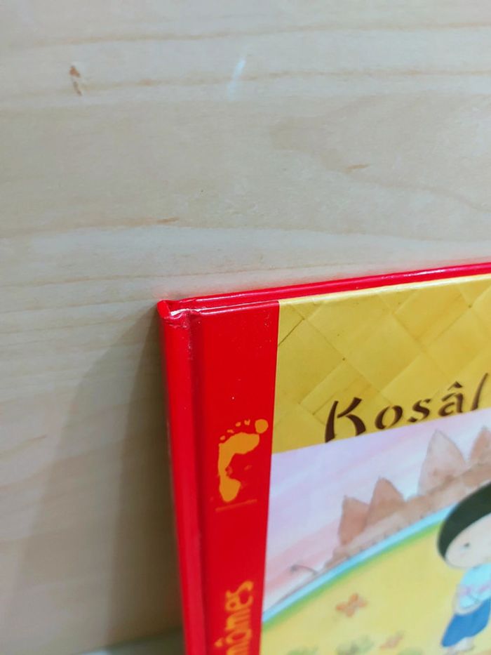 📚 Livre : Kosal et Moni enfants du sourie - photo numéro 8