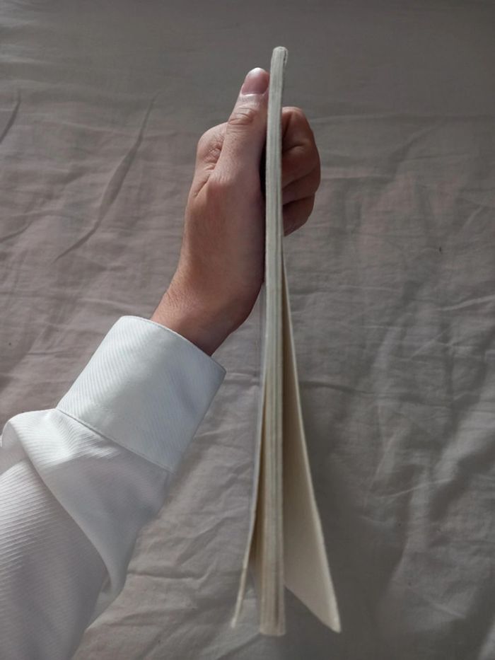 Le corbeau dans la neige - photo numéro 6