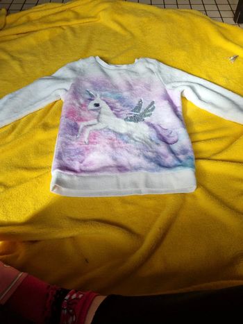 Pull licorne
