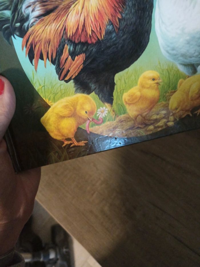 Les animaux de la ferme - photo numéro 2