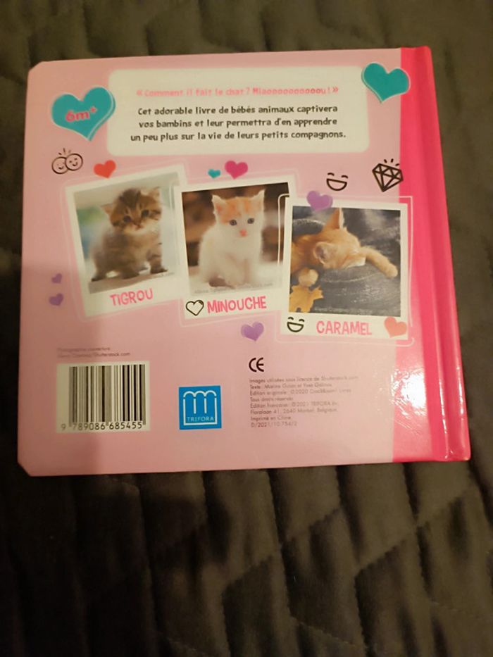 Chat mignon - photo numéro 2