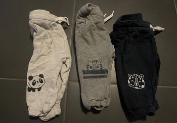 Lot de 3 pantalons animaux