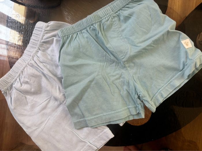 Lot 2 short