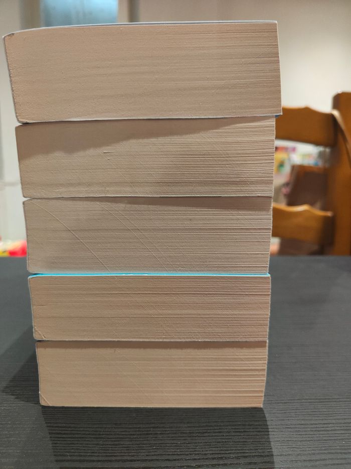 Série la princesse de papiers 5 tomes - photo numéro 8