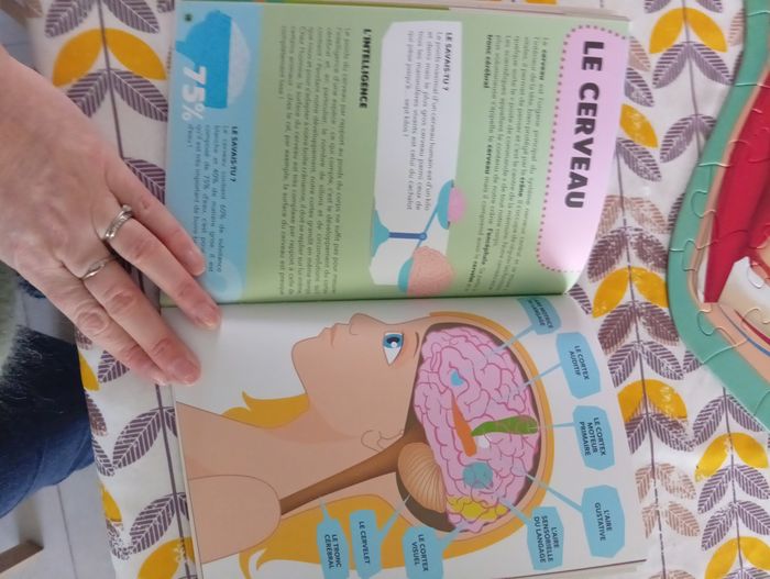 Puzzle corps humain - photo numéro 7