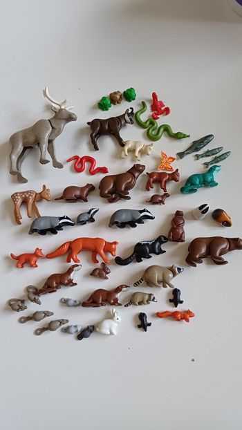 Famille les animaux de la Forêt playmobil