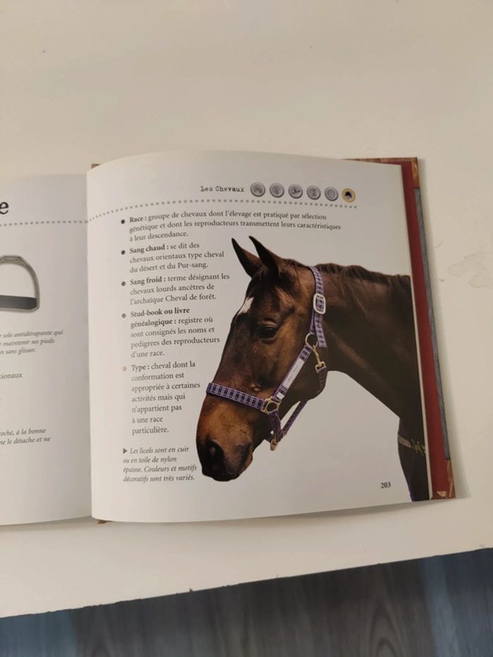 🙂 livre 1000 infos sur les chevaux 🙂 - photo numéro 5