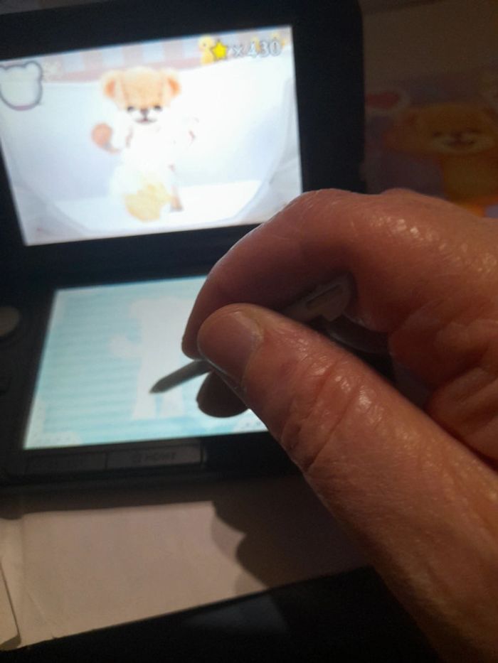 Mon Ours et moi Nintendo 3DS - photo numéro 20