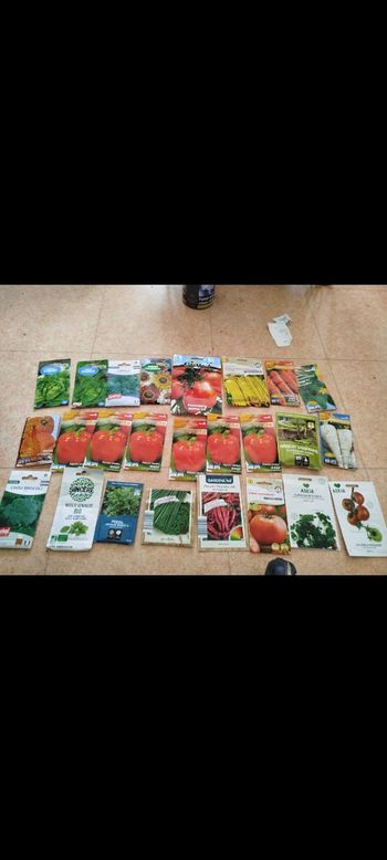 Lot 50 sachets de graines 
