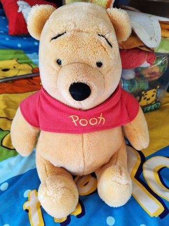 Peluche winnie