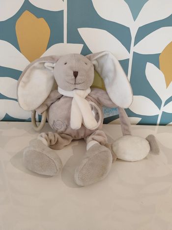 Doudou lapin d'activités baby nat
