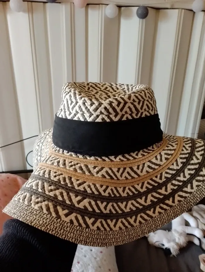 Chapeau - photo numéro 3