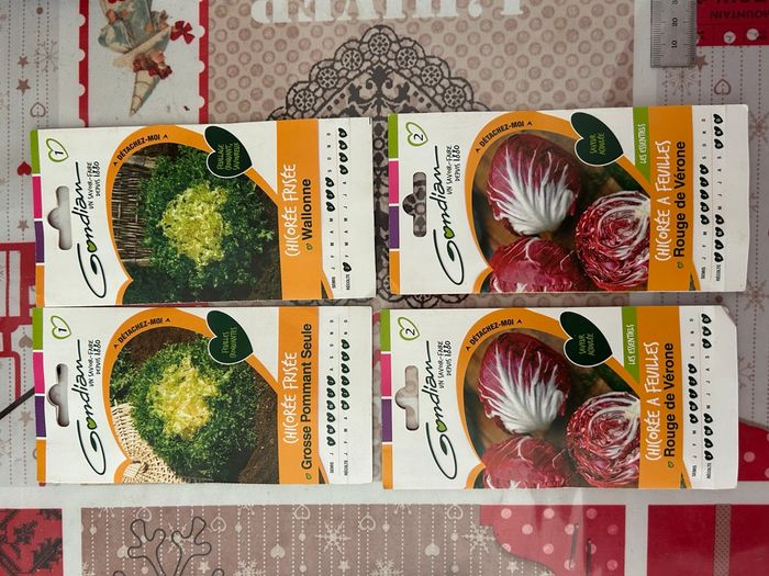 Gros lot de graines et semis légumes / salades - photo numéro 6