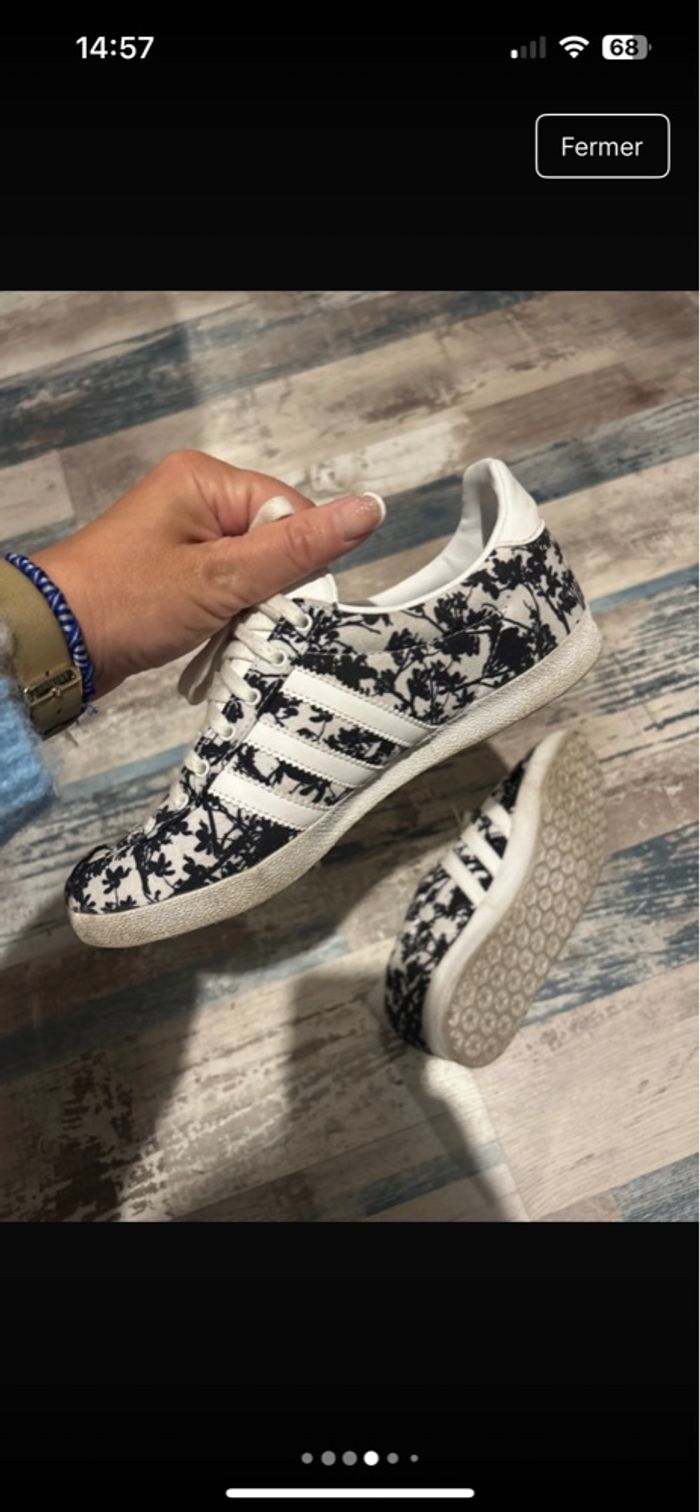 Gazelle - photo numéro 2