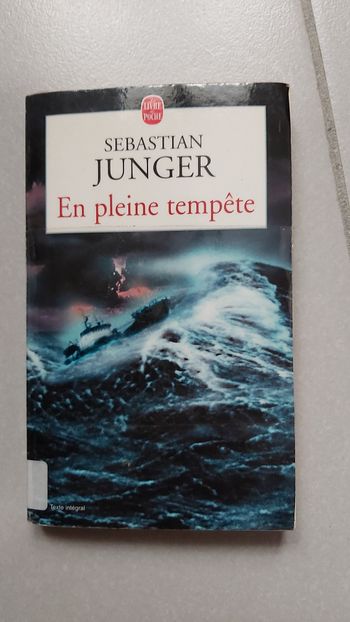 En pleine tempete
