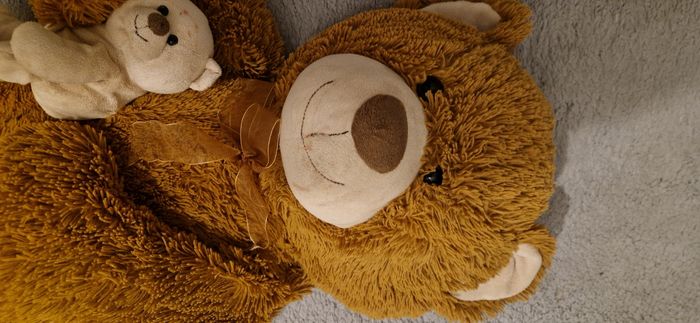 Grand Ours peluche - photo numéro 2