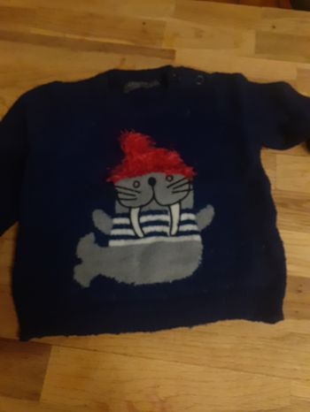 Pull phoque