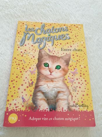 Livre Les chatons magiques n°3