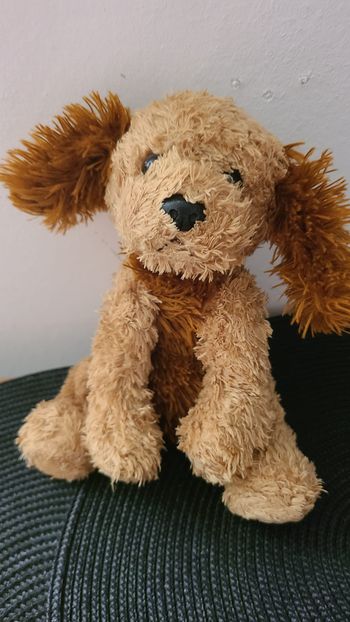 doudou chien assis aurora