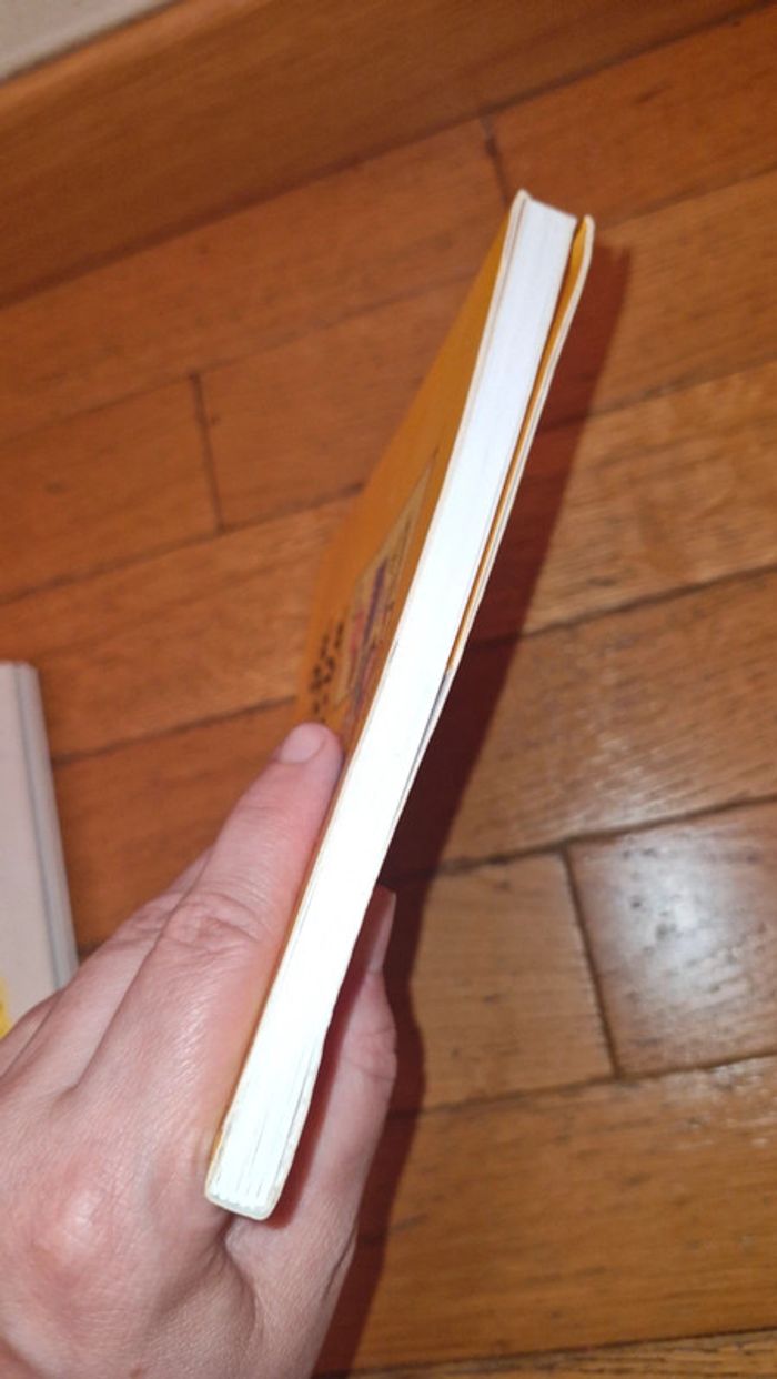 Anatole Latuile tome 5 - photo numéro 6