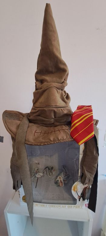 Choipeau Harry Potter