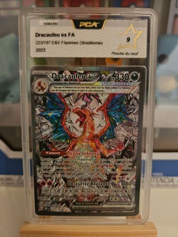 Dracaufeu 223 9