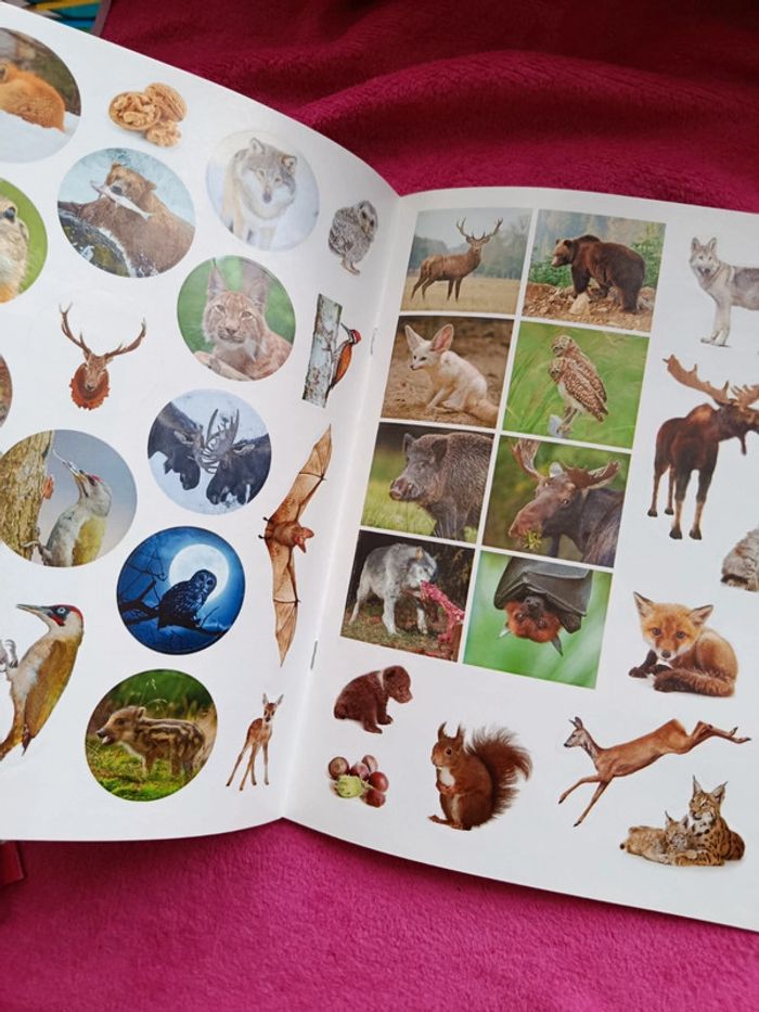 Cahier d'activités animaux de la forêt - photo numéro 3