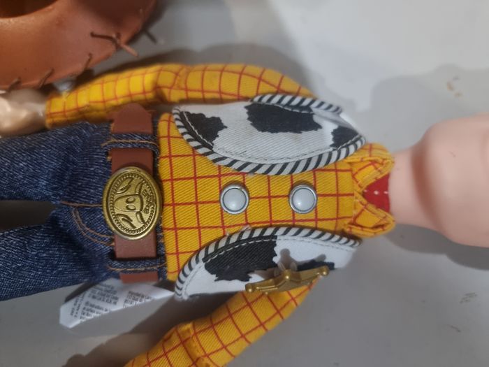 Woody - photo numéro 10