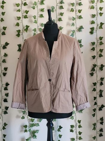Blazer 44 captain tortue