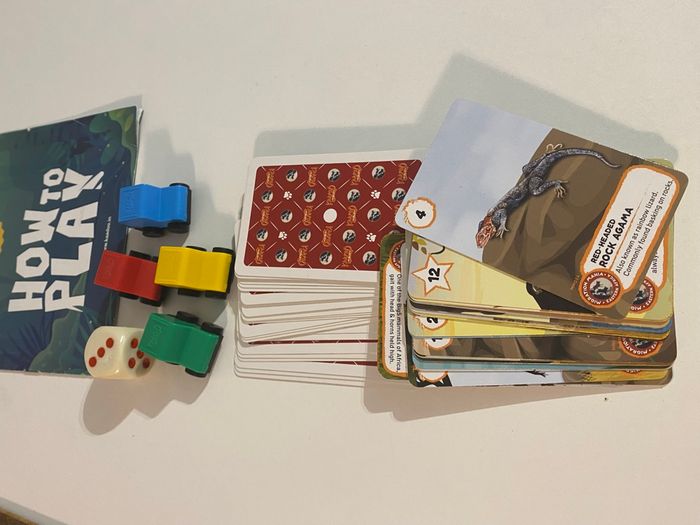 Kaadoo The Big Game jeu en Anglais - photo numéro 3