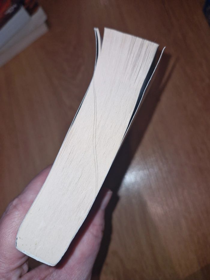 Philippe Pullman / a la croisée des mondes 1 / les royaumes du nord - photo numéro 5