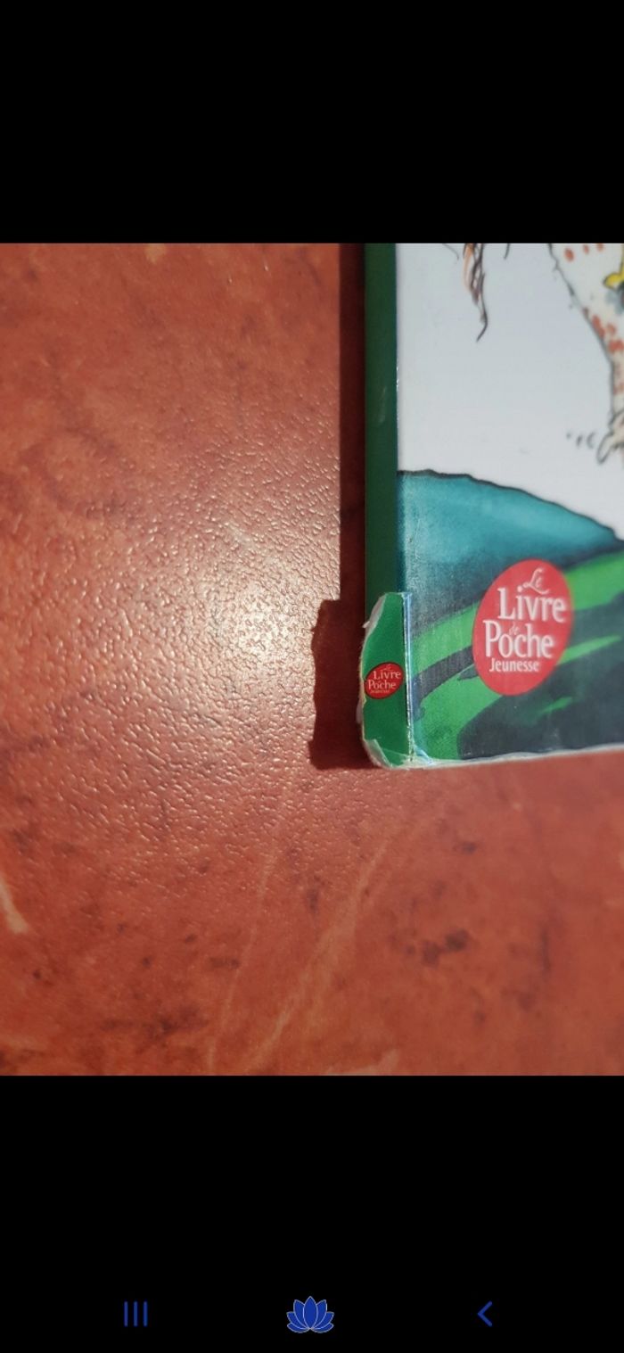 Émilie et le crayon magique - photo numéro 3