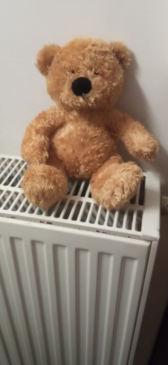 Nounous - photo numéro 6