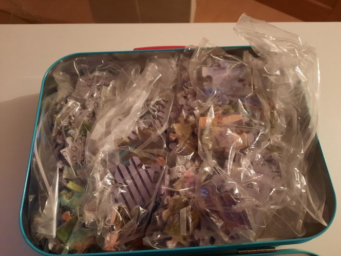 Puzzles 2x60 pieces et 2x100 pièces sur les DINOSAURES - photo numéro 2